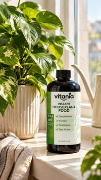 Vitania Instant Houseplant Food on a sunny windowsill with pothos