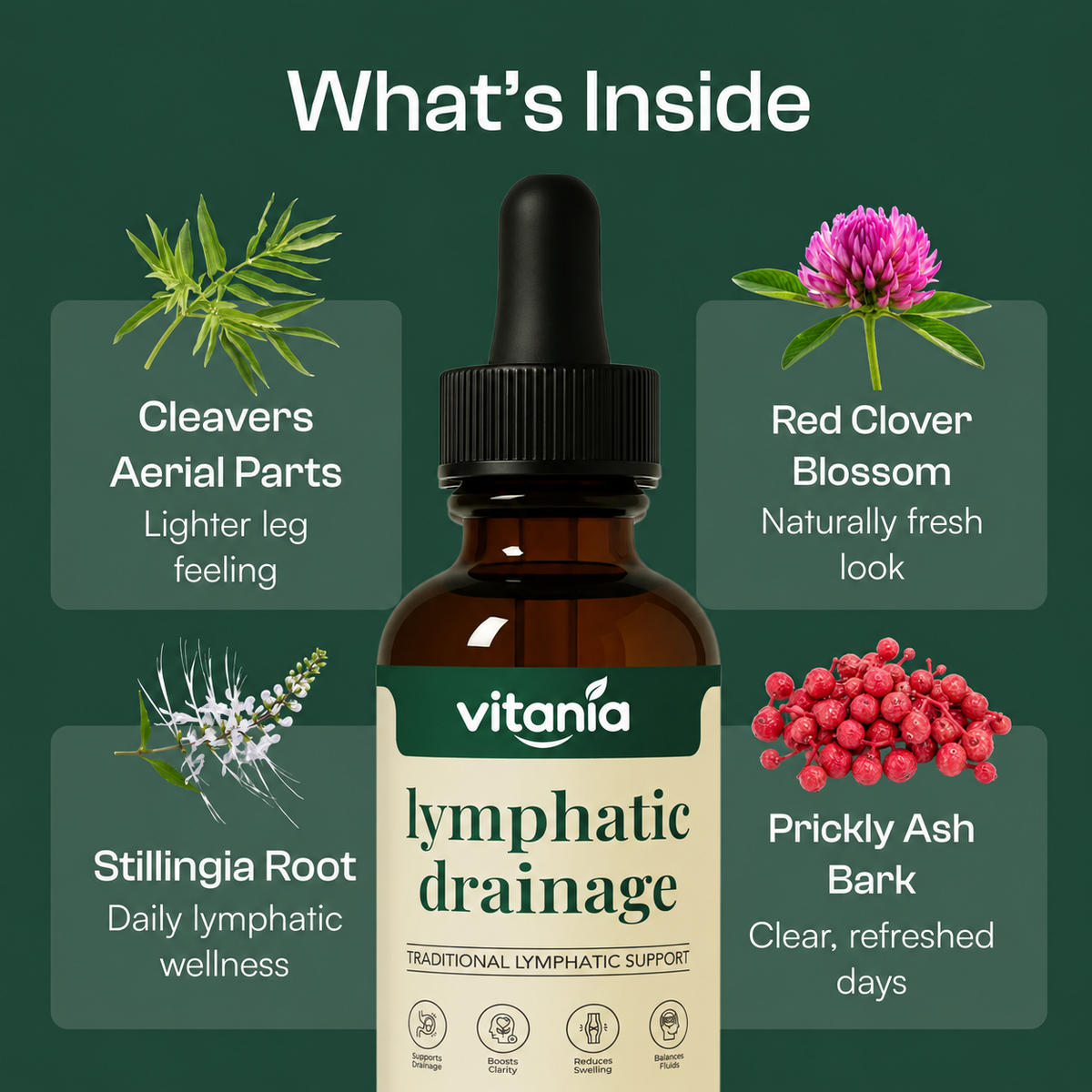 Lymphatic Drainage Drops